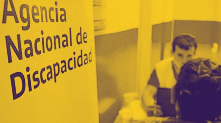 Rediseño del Estado: oficializan la Secretaría de Discapacidad y ponen el ojo en el Programa de Cannabis Secretaría de Discapacidad