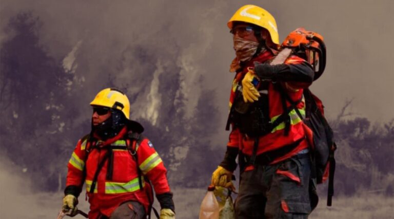Incendios en la Patagonia