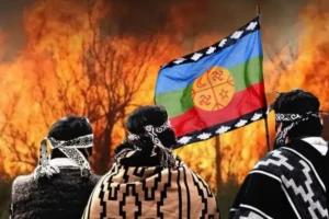 Patagonia en llamas: la secta identitaria que quema bosques y se cree soberana 5 Patagonia en llamas.