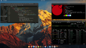 Gordos compu: 16 sistemas operativos asombrosos que no son Windows, macOS ni Linux 62 Sistemas Operativos: FreeBSD