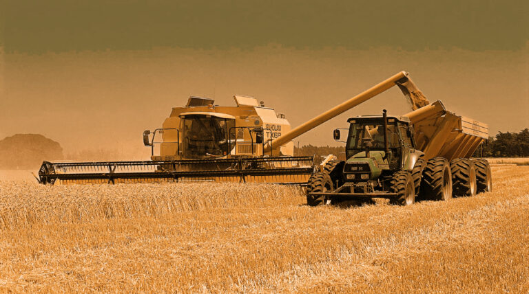 industria agraria agroindustria argentina soja economia reformas bbva frances bbva