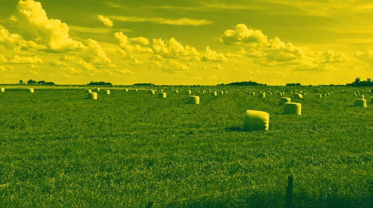 asfalfa exportacion