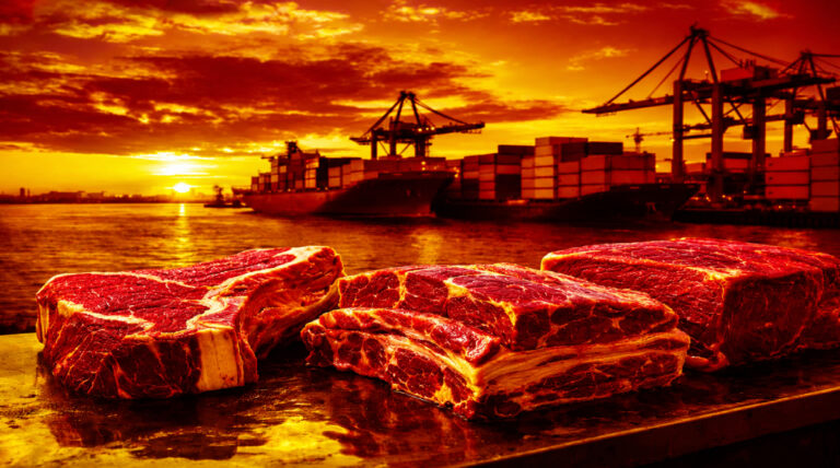 carnes argentinas