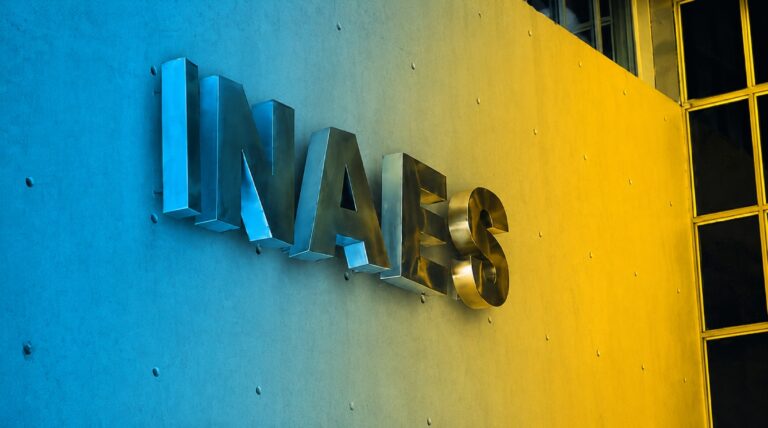 inaes