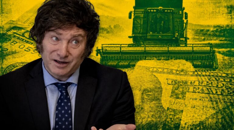 Milei oficializó la baja de retenciones al agro: trigo y cebada ya pagan menos desde hoy trigo