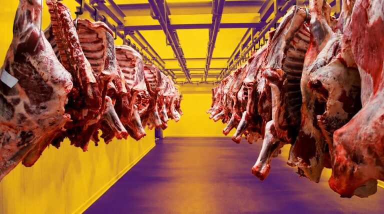 Menos burocracia en la carne: SENASA derogó una exigencia de hace 58 años SENASA: Carne y frigoríficos